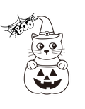 Camiseta Boo Cat