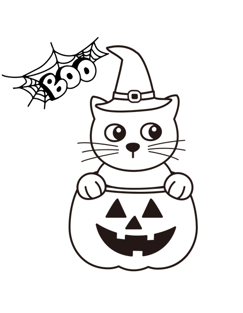 Boo Cat
